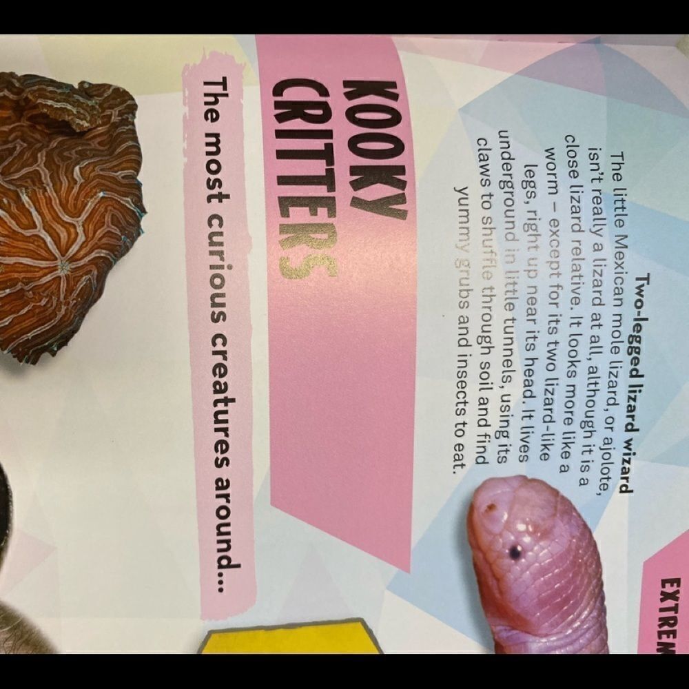 Bear Grylls Extreme Planet book - Picture 10 of 15